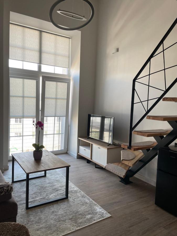 Radio City Loft Kaunas Eksteriør billede