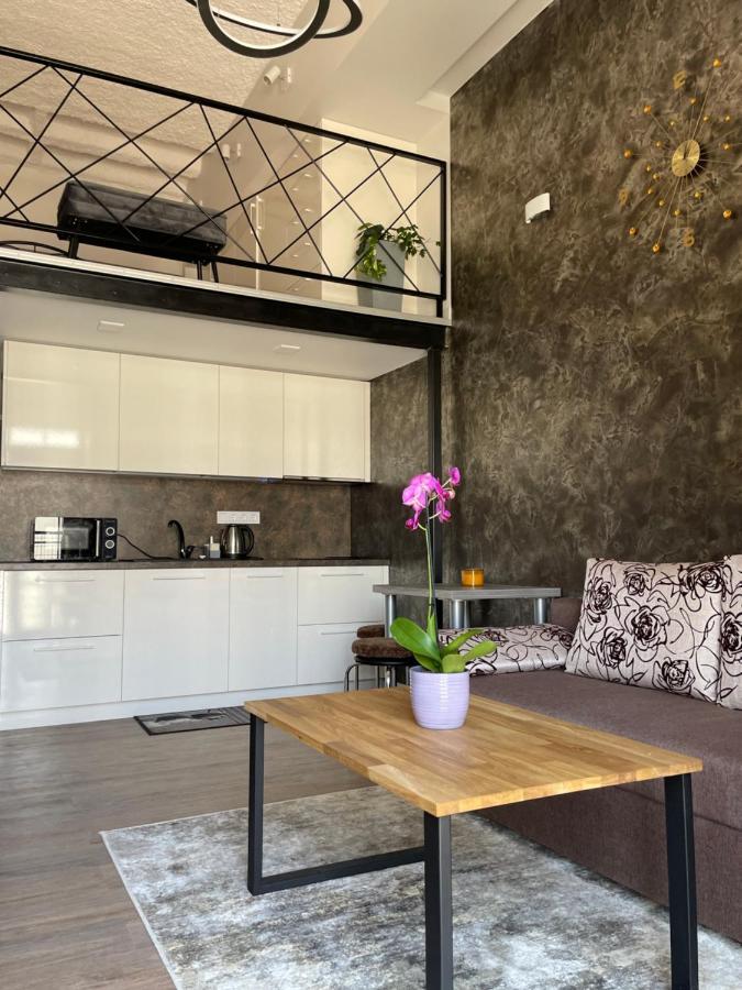 Radio City Loft Kaunas Eksteriør billede